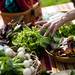 A customers touches fresh lettuce at the Seeley Farm table during the Cobblestone Farm Farmers Market on Tuesday, May 21. Daniel Brenner I AnnArbor.com